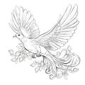 Flying dove in zentangle