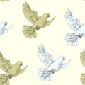 Flying Doves. Vector seamless pattern