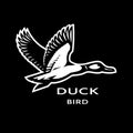 Flying duck logo on a dark background.