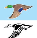 Flying Duck Vector Illustration