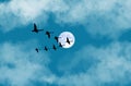 Flying ducks with white full moon in cloudy sky Royalty Free Stock Photo