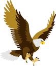 Flying Eagle Bird or Hawk