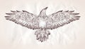 Flying eagle bird with roses under her wings, hand drawn graphic illustration