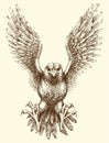 Flying eagle detailed hand drawing Royalty Free Stock Photo