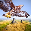 Flying Eagle over medieval castle.