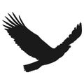 Flying eagle vector illustration black silhouette Royalty Free Stock Photo