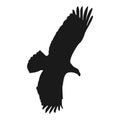 Flying eagle vector illustration black silhouette Royalty Free Stock Photo