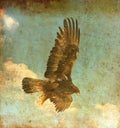 Flying eagle with wings spread against a blue sky with white clouds made like an old painting Royalty Free Stock Photo