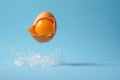 Flying Egg With Splashing Water Royalty Free Stock Photo