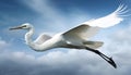 Flying egret in nature, spread wings, freedom, aquatic fishing motion generated by AI