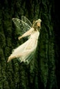 Flying fairy Royalty Free Stock Photo