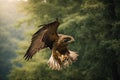 Flying falcon in the nature background. ai generative Royalty Free Stock Photo