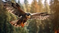 Flying falcon in the nature background. Generative AI. Royalty Free Stock Photo
