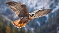 Flying falcon in the nature background. Generative AI. Royalty Free Stock Photo