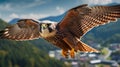 Flying falcon in the nature background. Generative AI Royalty Free Stock Photo