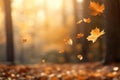 Flying fall leaves on autumn forest background in golden hour, copy space Royalty Free Stock Photo