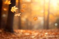 Flying fall leaves on autumn forest background in golden hour, Copy space Royalty Free Stock Photo