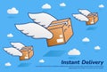 Flying fast parcel package with wing instant delivery illustration flat vector cartoon