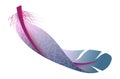 Flying feather. Blue fluffy bird wing part Royalty Free Stock Photo