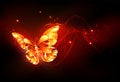 Flying fire butterfly on black background Royalty Free Stock Photo