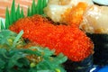 Flying fish roe sushi Royalty Free Stock Photo