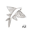 Flying Fish. Sea animal. Ocean life in paper craft style.