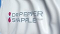 Flying flag with Dr Pepper Snapple Group logo, close-up. Editorial 3D rendering