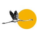 The flying flamingo bird illustration