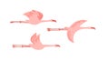 Flying cute pale pink flamingo flock clipart