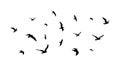 Flying flock of birds. Flight bird silhouettes, isolated black doves or seagulls collection. Freedom metaphor vector Royalty Free Stock Photo