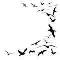 Flying flock of birds. Flight bird silhouettes, isolated black doves or seagulls collection. Freedom metaphor vector