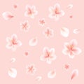 Flying flowers isolated on light peach pink background. Cherry blossom. Floral seamless Pattern. Vector Royalty Free Stock Photo