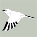 Flying flycatcher ,vector illustration , lining