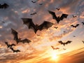 Flying fox fruit bats in the sky