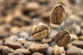 Flying fresh coffee beans as a background with copy space. Coffee beans falling down with white steam vapour. Royalty Free Stock Photo