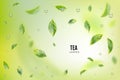 Flying Fresh Green Tea Leaves Vector Background