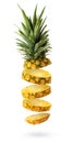Flying fresh pineapple slices isolated on white background Royalty Free Stock Photo