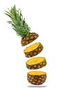 Flying fresh ripe pineapple slices isolated on a white background Royalty Free Stock Photo