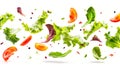 Flying fresh salad isolated over white background Royalty Free Stock Photo