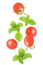Flying fresh whole tomatoes isolated on white background Royalty Free Stock Photo