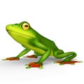 Flying frog