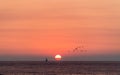 Flying geese over a vivid color of the North Sea sunset Royalty Free Stock Photo