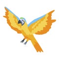 Flying gold parrot icon, isometric style Royalty Free Stock Photo