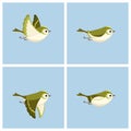 Flying Goldcrest female animation sprite sheet