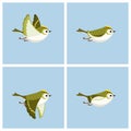 Flying Goldcrest male animation sprite sheet