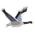 Flying goose flat illustration