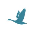 Flying Goose vector illustration, Bird logo design inspiration Royalty Free Stock Photo