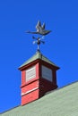 Flying goose wind vane on top of a cupola Royalty Free Stock Photo