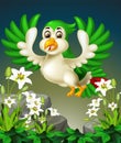 Flying Green Bird On The Top of Rocks And White Ivy Flower Cartoon Royalty Free Stock Photo