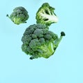 Flying green broccoli slices on a blue background. Royalty Free Stock Photo